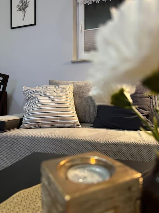 Danka 6Th Floor Chic Apartment Краків Екстер'єр фото