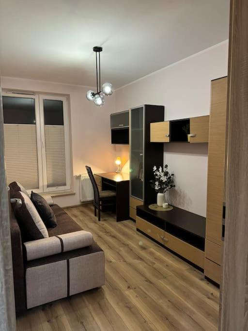Danka 6Th Floor Chic Apartment Краків Екстер'єр фото
